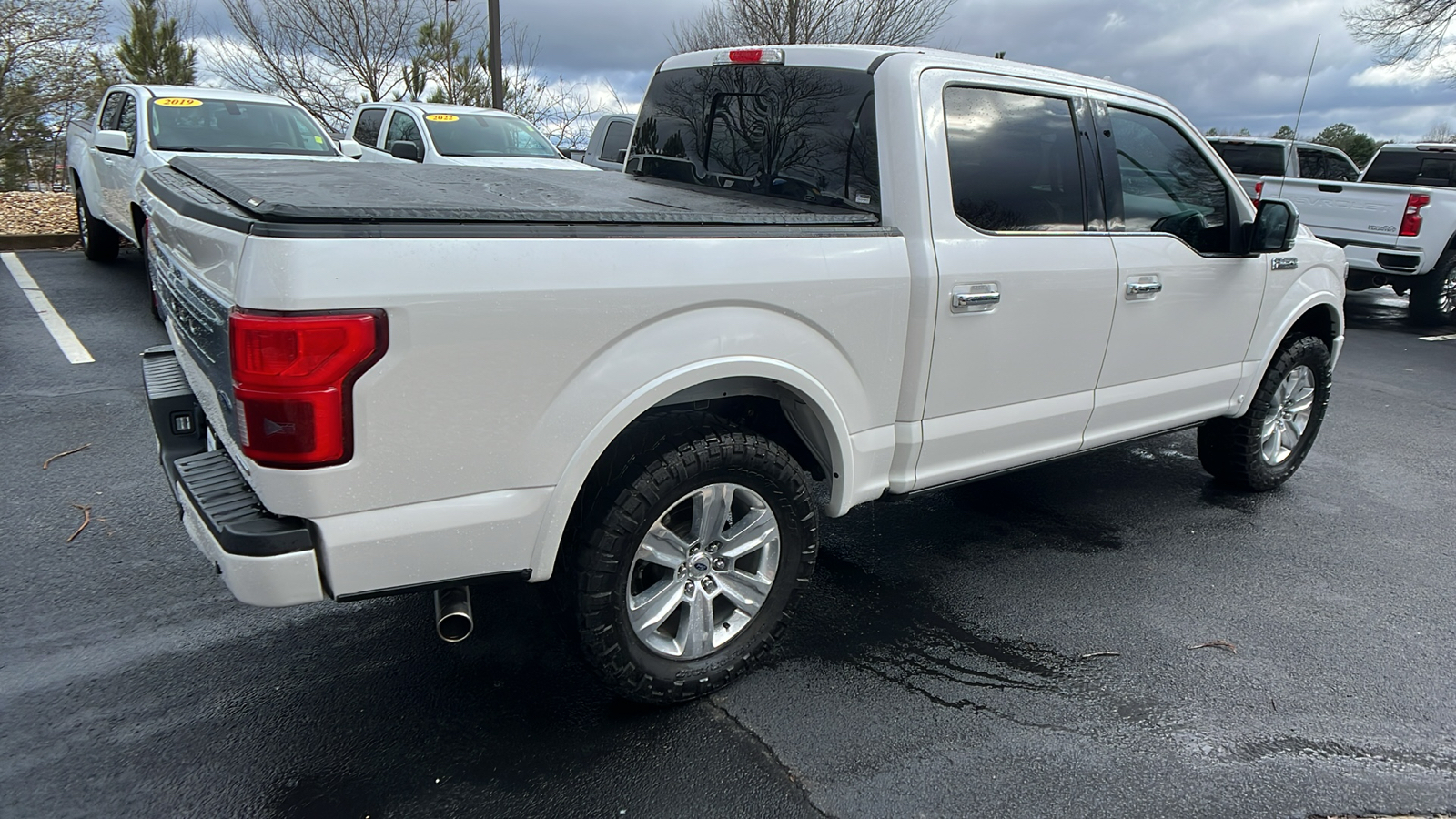 2018 Ford F-150 Platinum 6