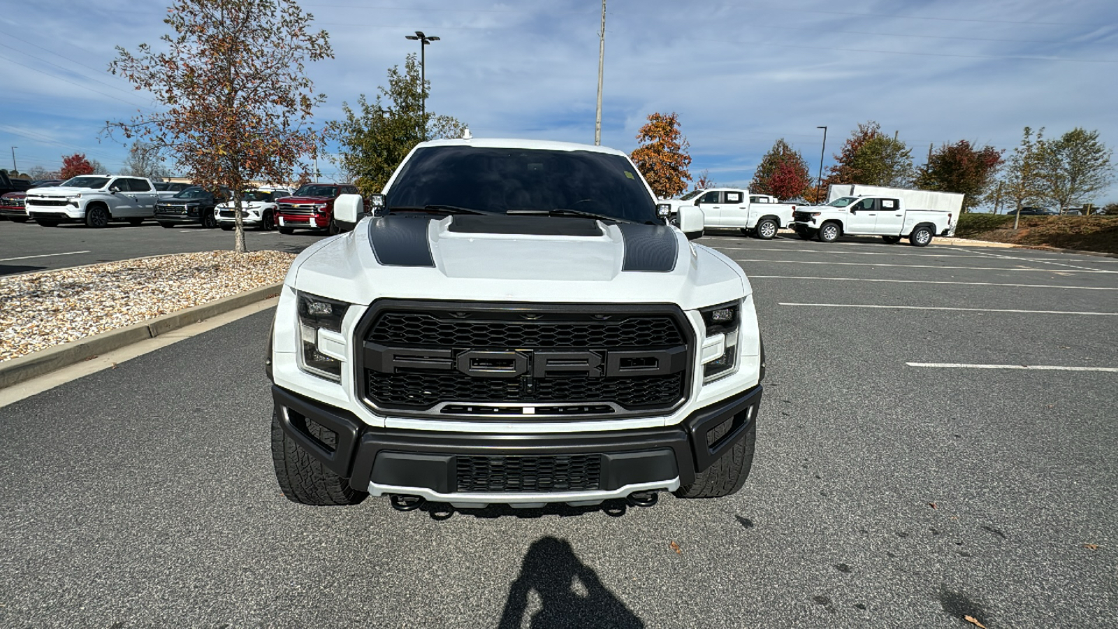 2019 Ford F-150 Raptor 3