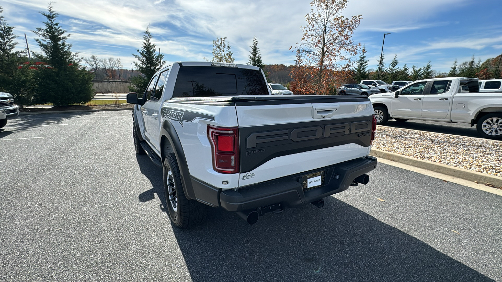 2019 Ford F-150 Raptor 8