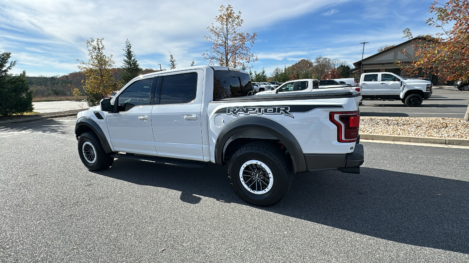 2019 Ford F-150 Raptor 9