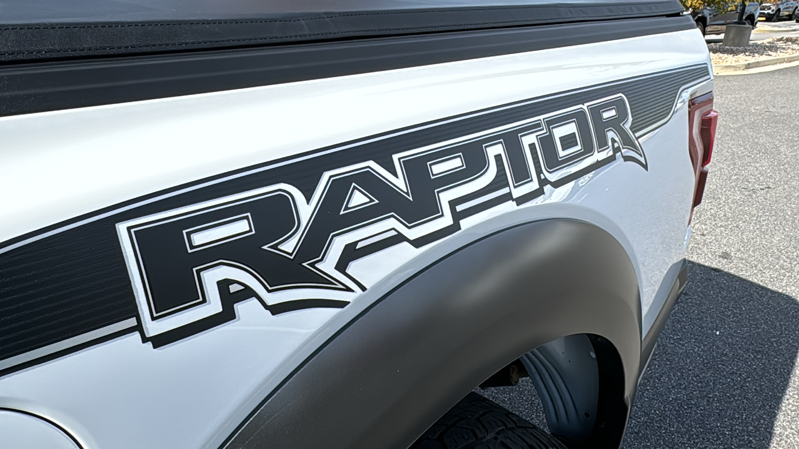 2019 Ford F-150 Raptor 15