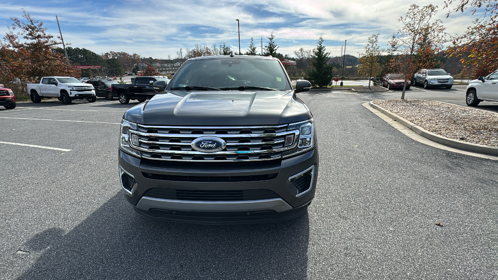 2020 Ford Expedition Limited 3