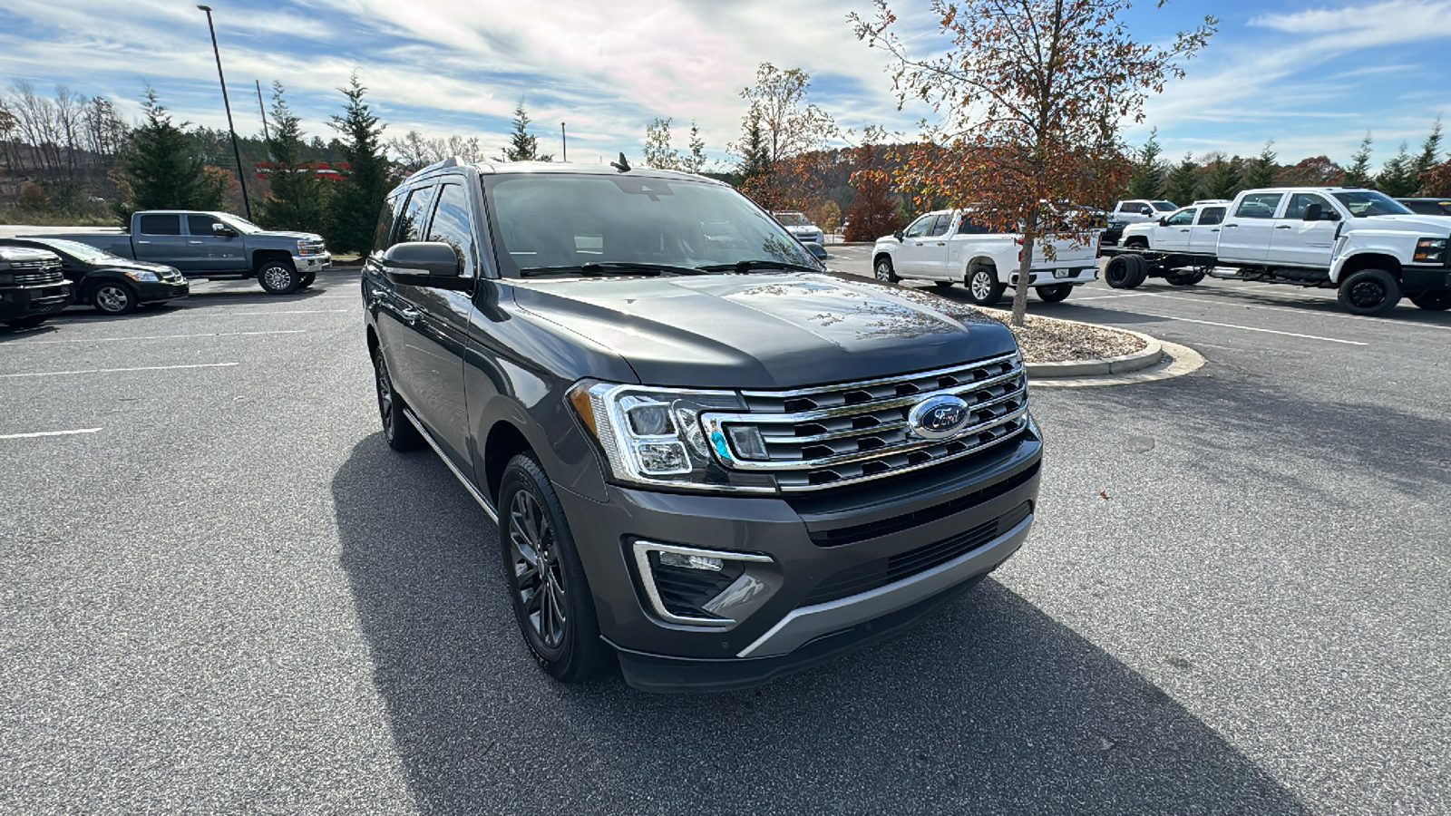 2020 Ford Expedition Limited 4