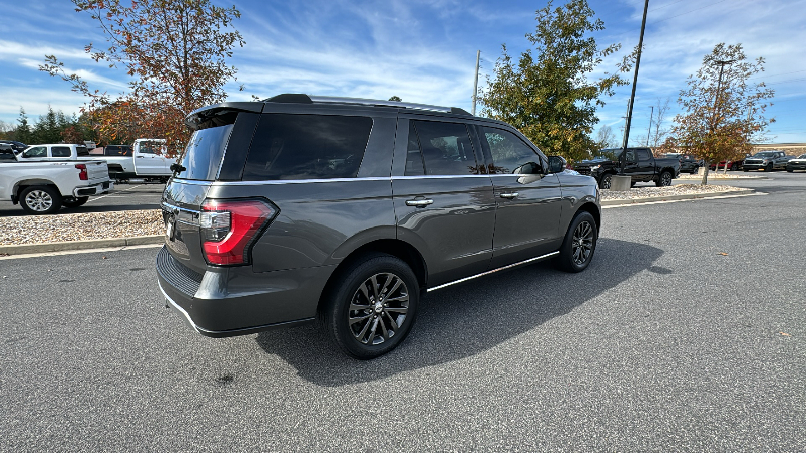 2020 Ford Expedition Limited 6