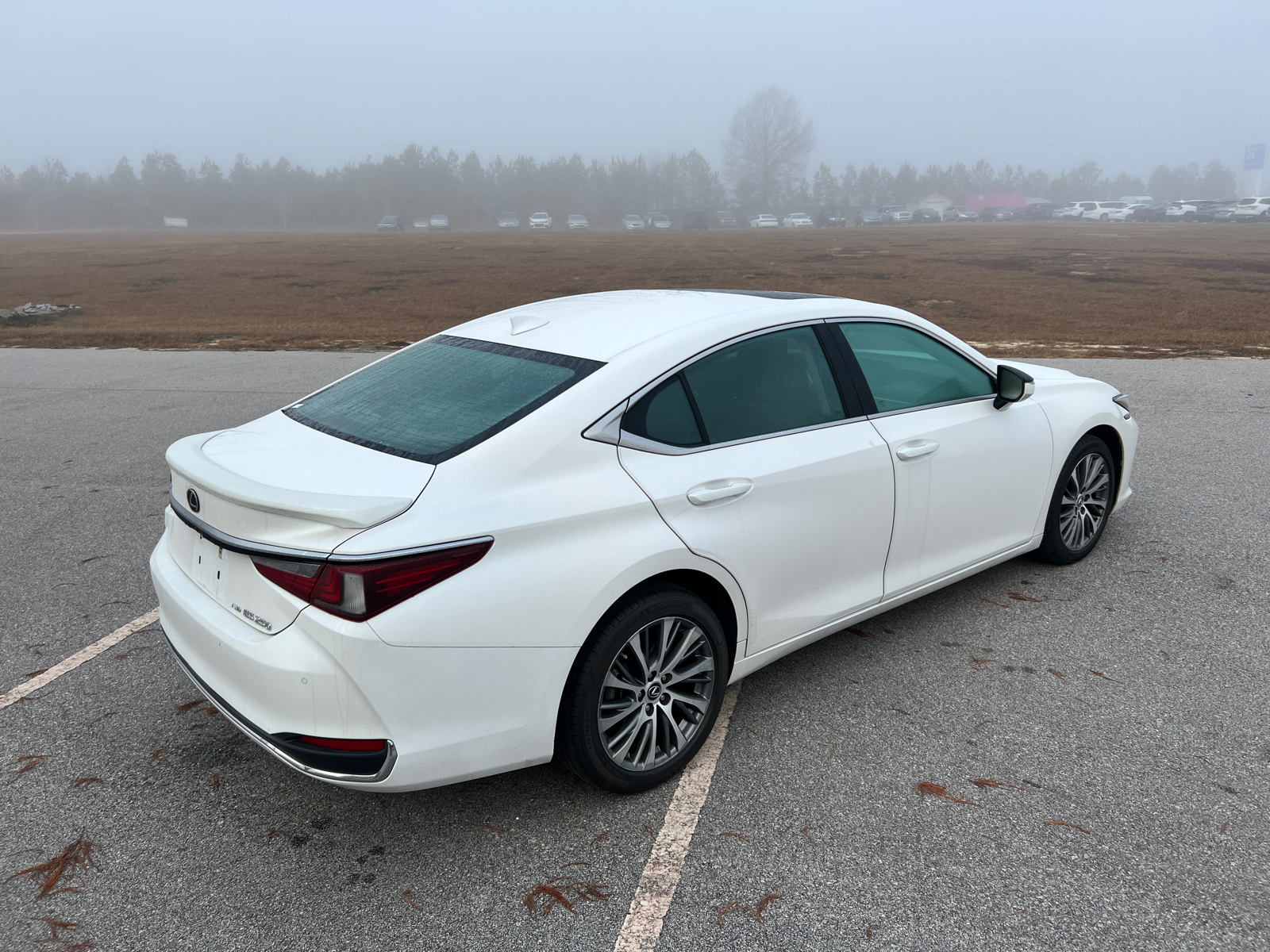 2021 Lexus ES 250 7