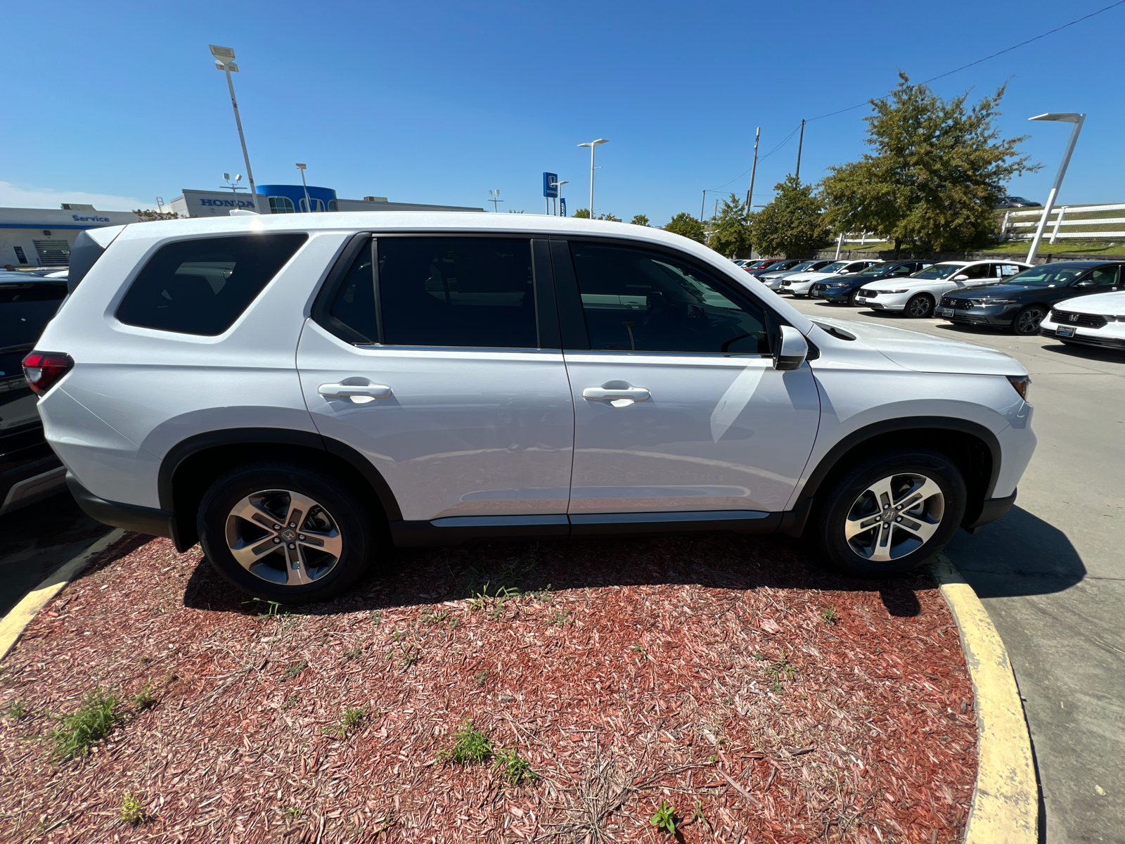 2025 Honda Pilot EX-L 6