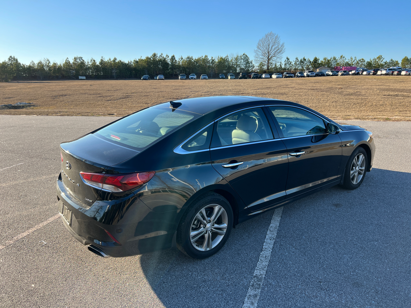 2019 Hyundai Sonata Limited 7