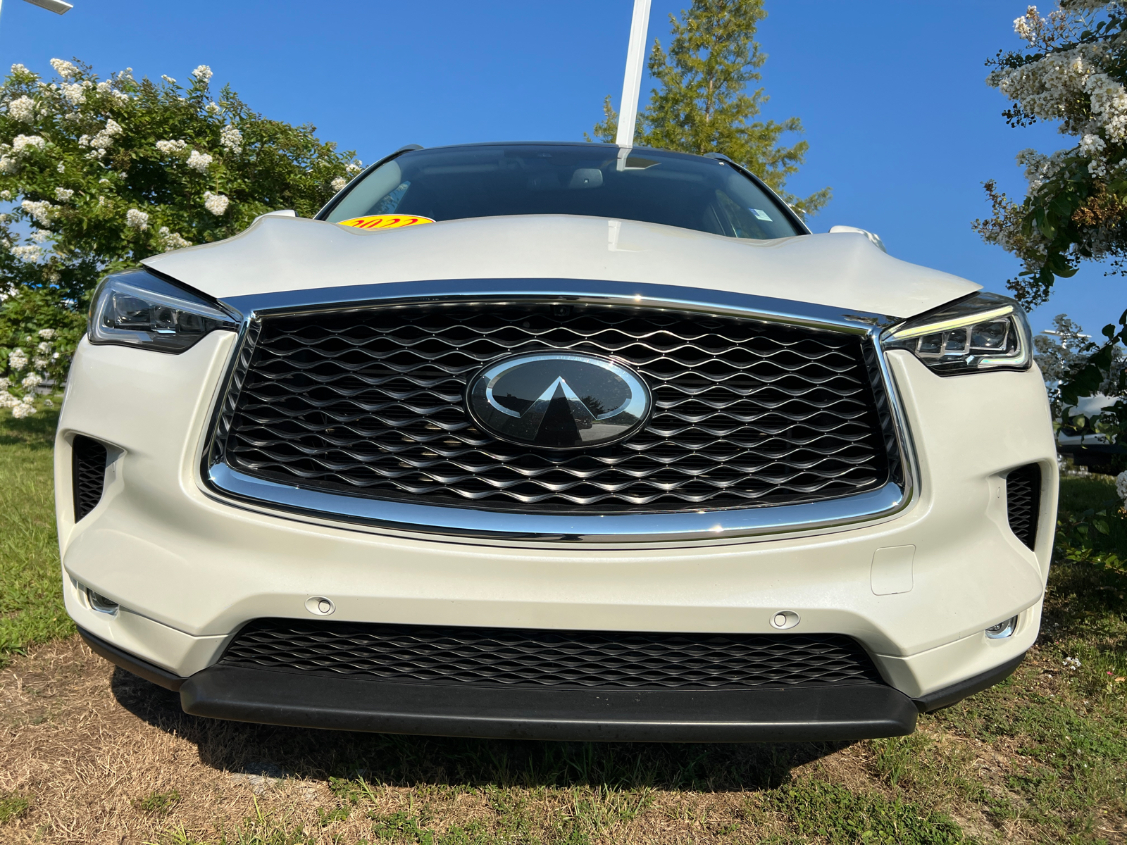 2022 INFINITI QX50 Sensory 2