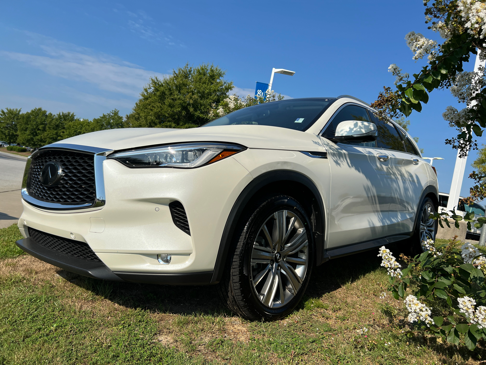 2022 INFINITI QX50 Sensory 4