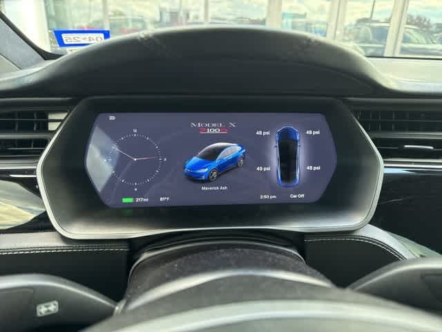 2018 Tesla Model X P100D 6