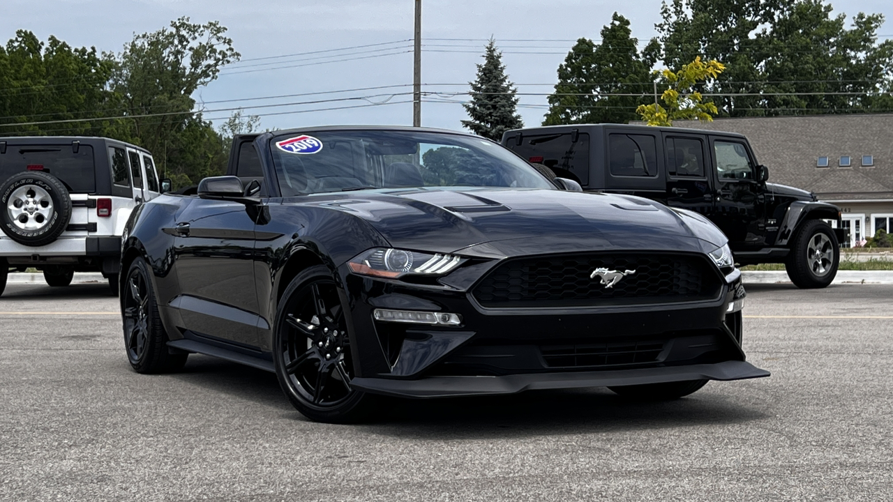 2019 Ford Mustang EcoBoost 9