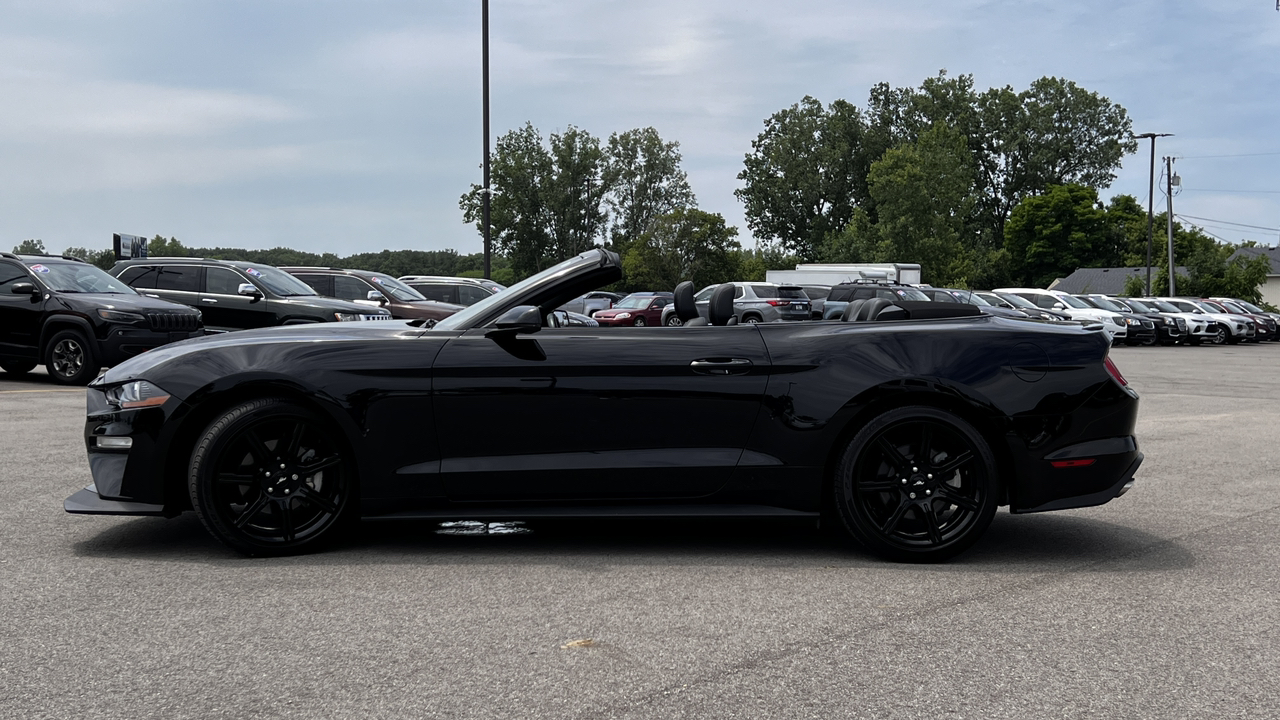 2019 Ford Mustang EcoBoost 14