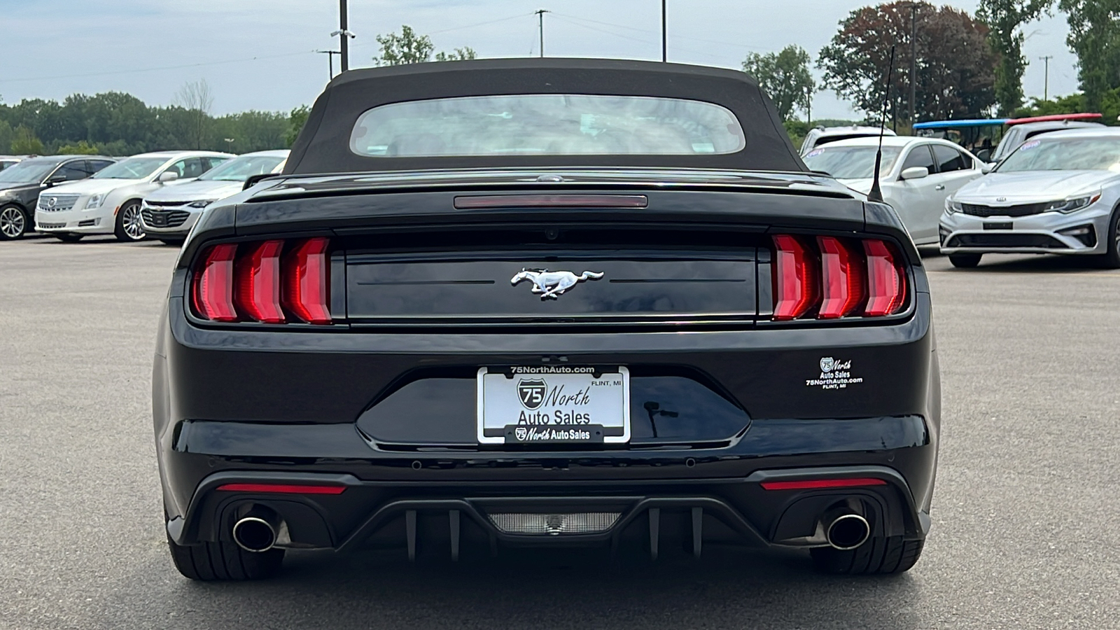 2019 Ford Mustang EcoBoost 45
