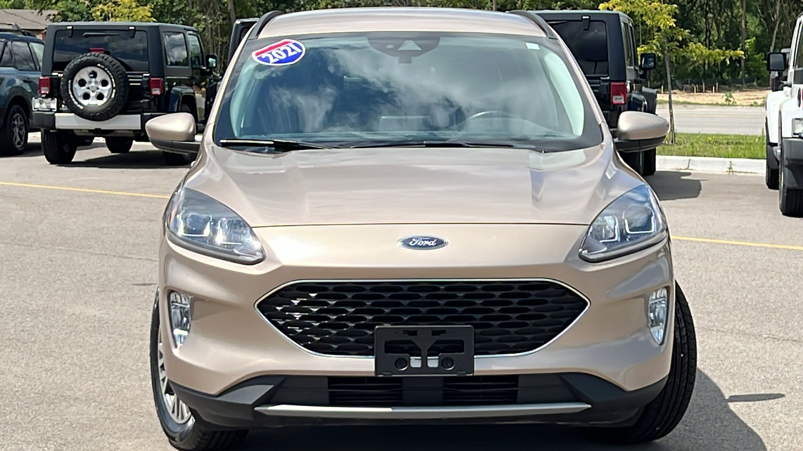 2021 Ford Escape SEL 3