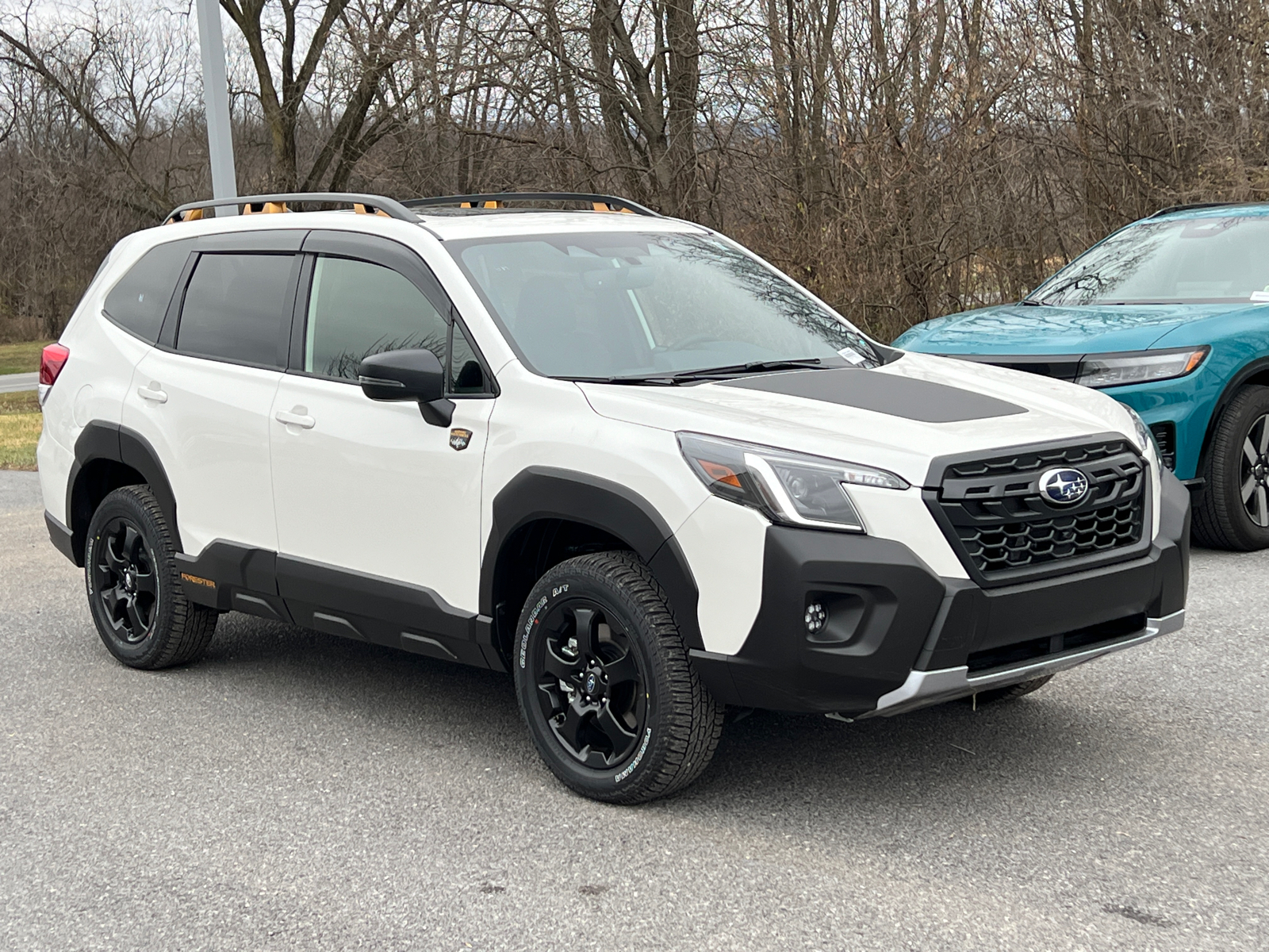 2024 Subaru Forester Wilderness 1