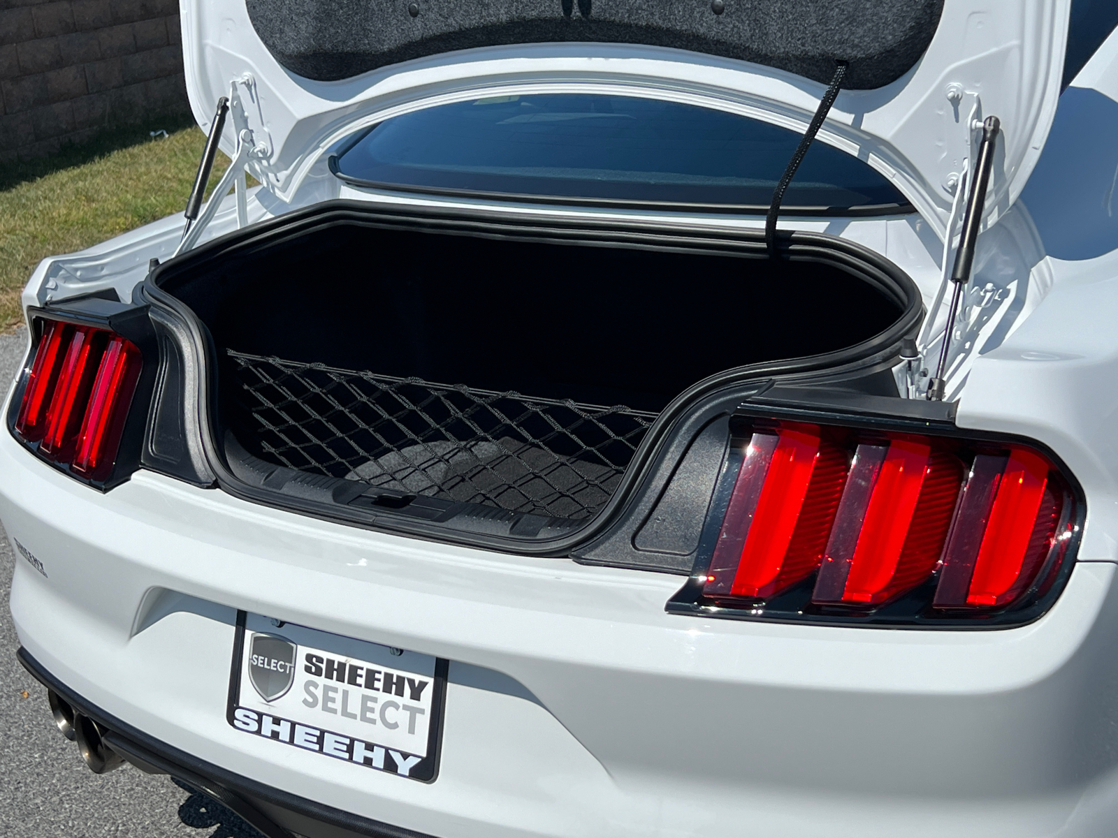 2017 Ford Mustang Shelby GT350 14