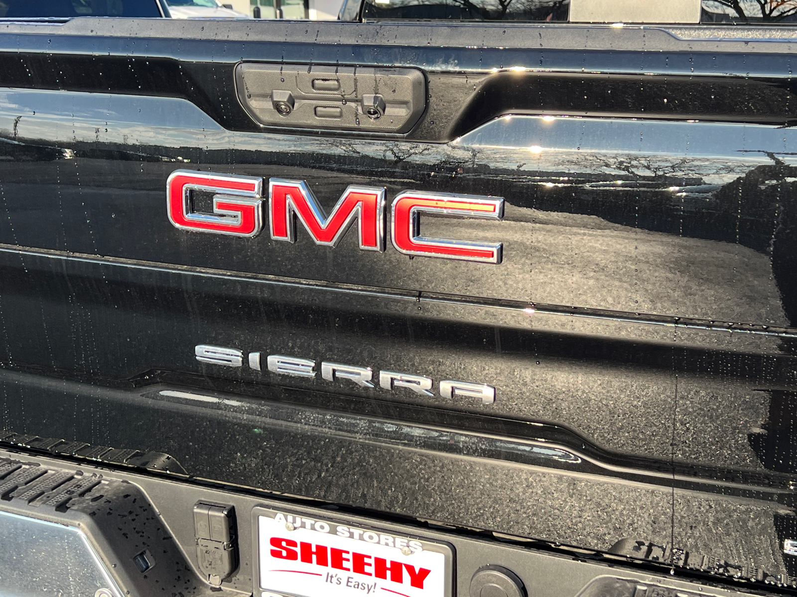 2025 GMC Sierra 1500 SLT 10