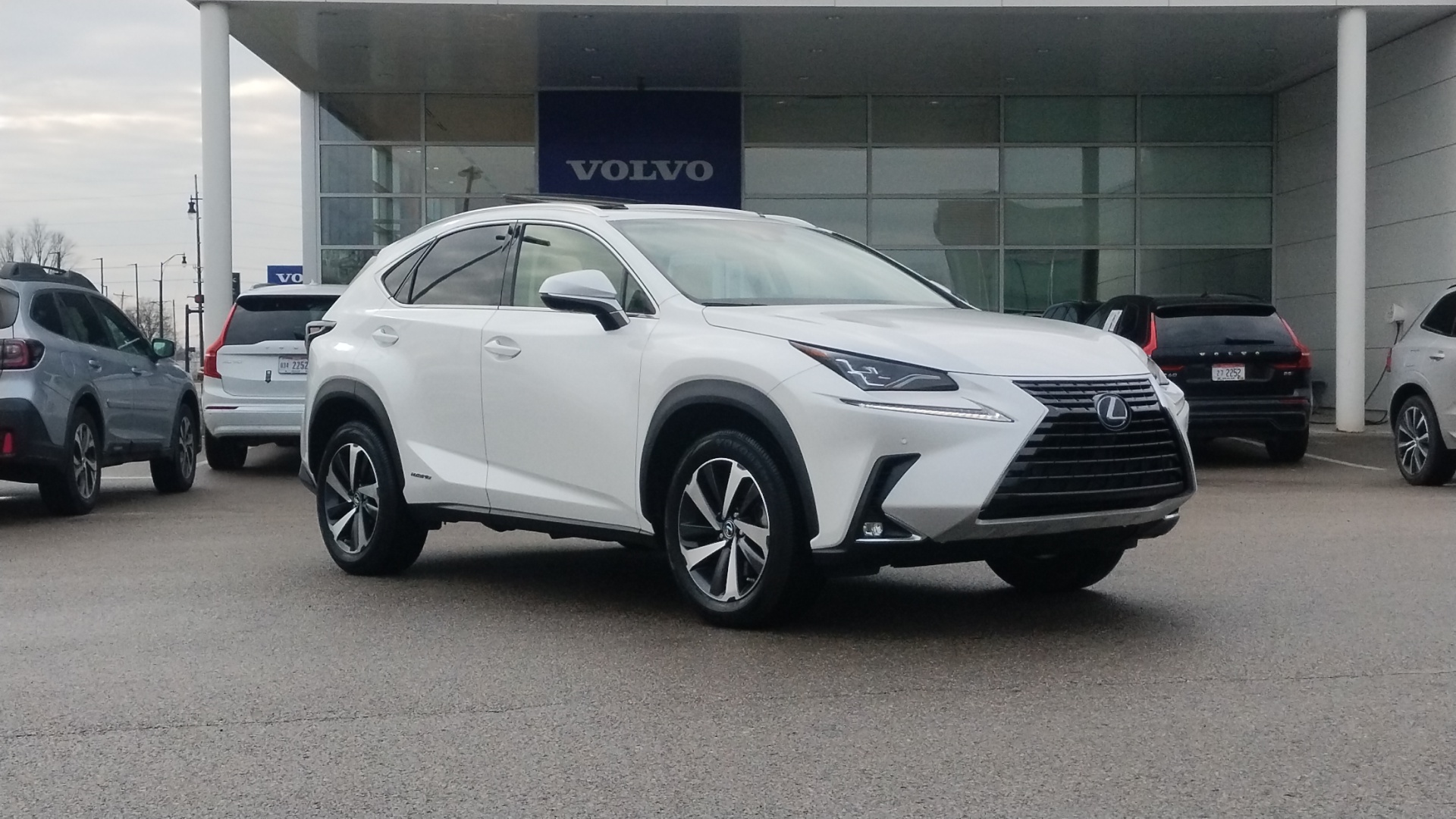 2021 Lexus NX 300h Luxury 1