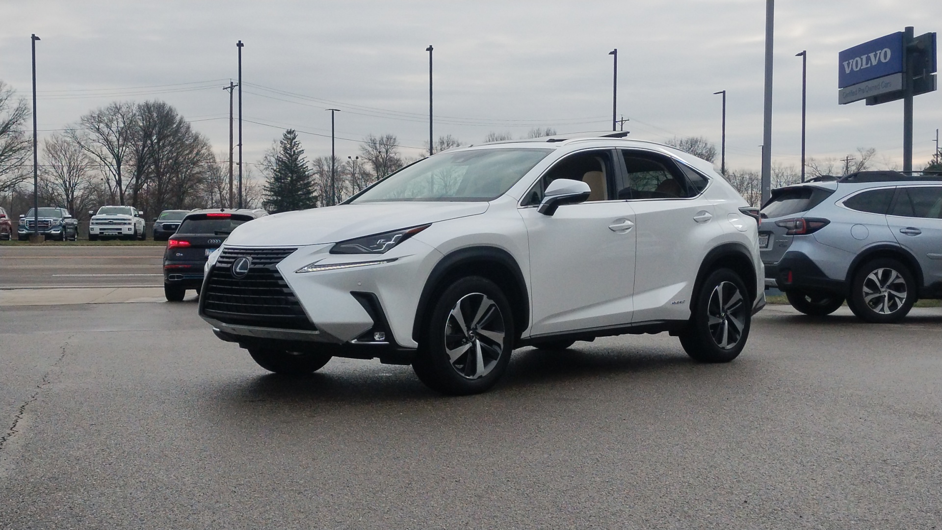 2021 Lexus NX 300h Luxury 5