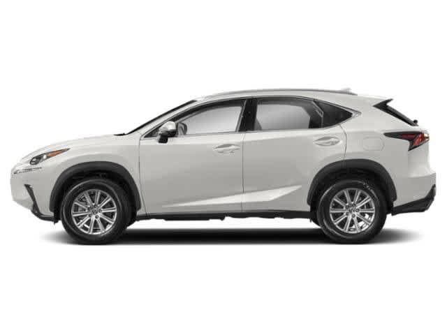 2020 Lexus NX  3