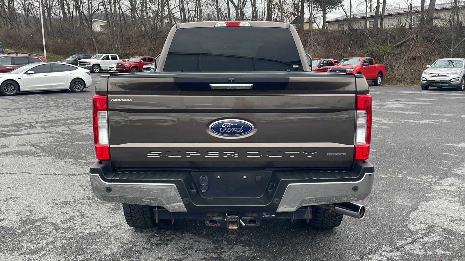 2017 Ford Super Duty F-250 SRW Lariat 4