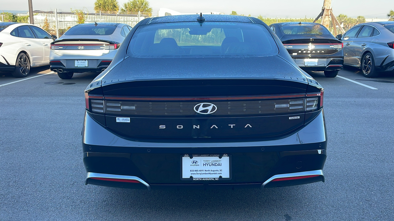 2024 Hyundai Sonata Hybrid Limited 6