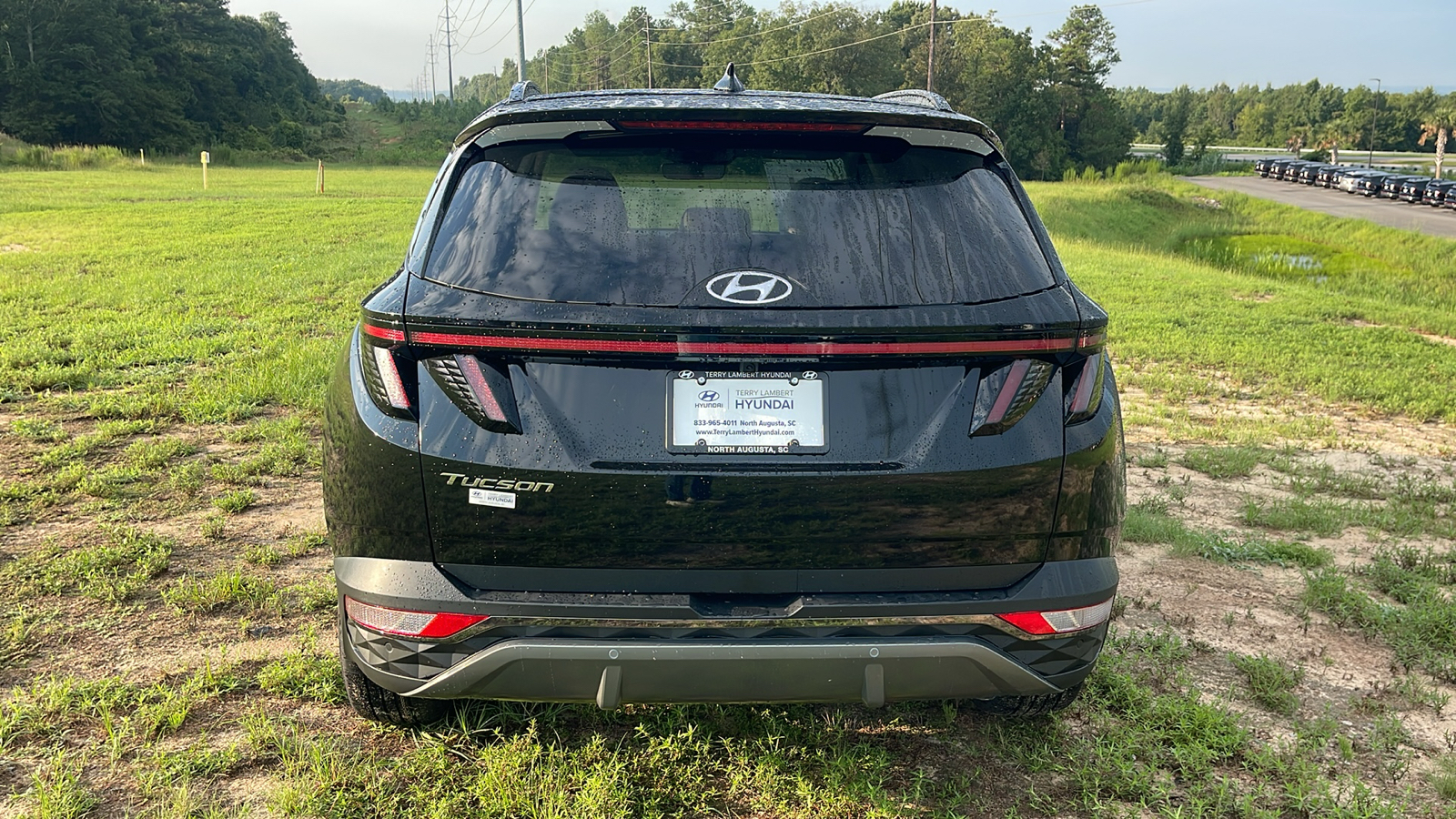 2024 Hyundai Tucson Limited 6