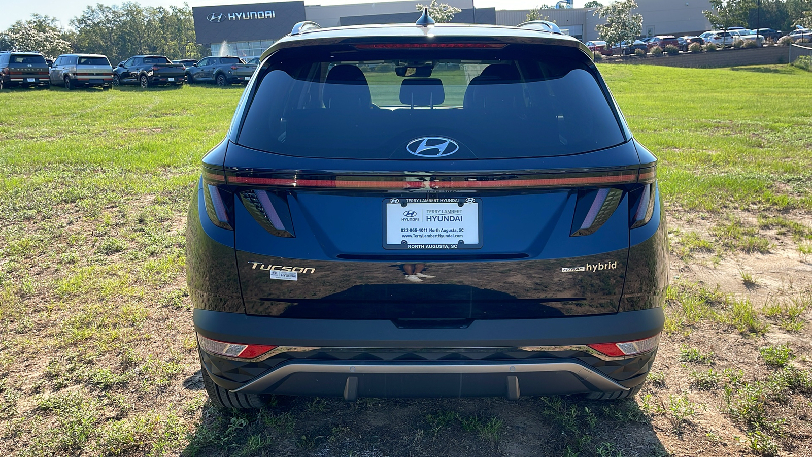 2024 Hyundai Tucson Hybrid Limited 6