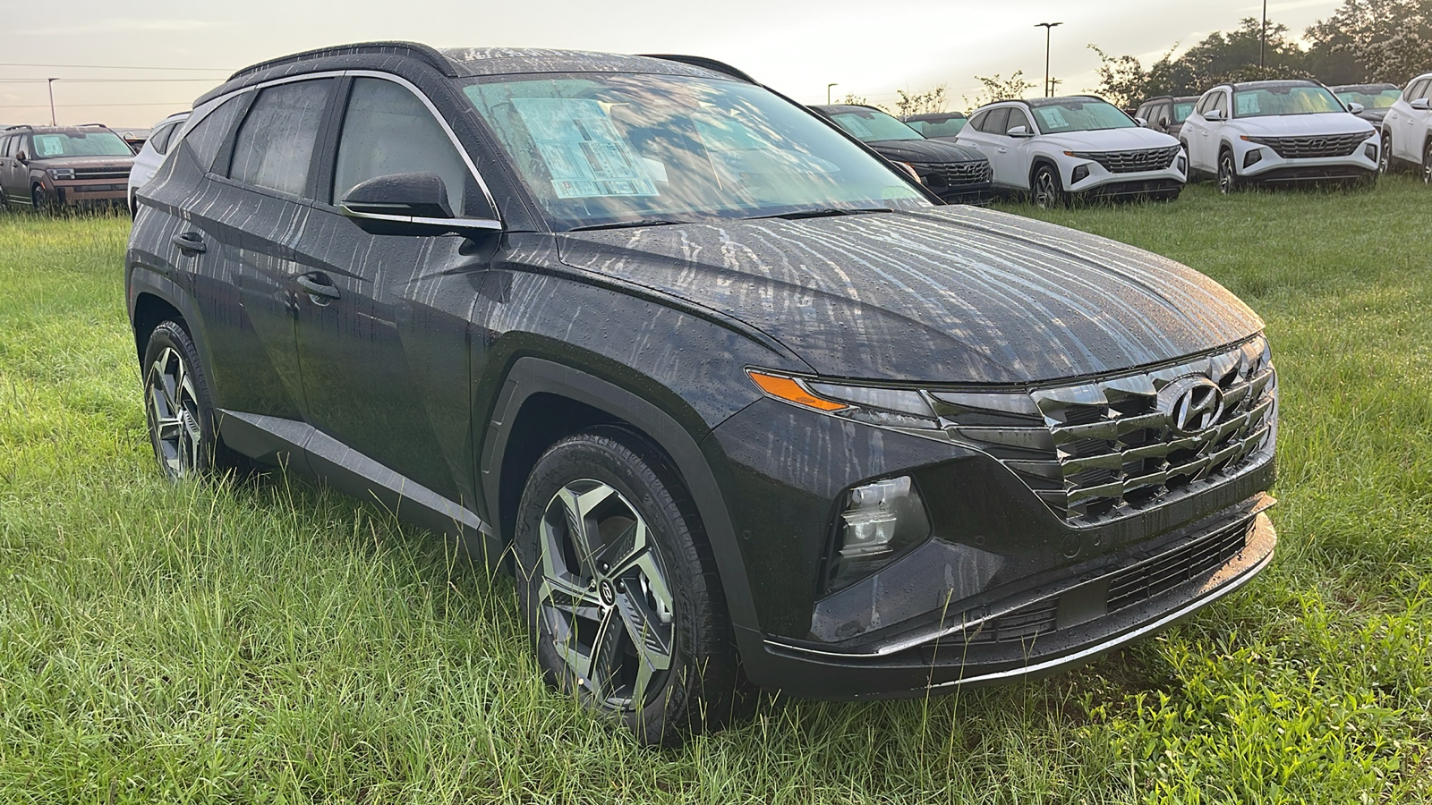 2024 Hyundai Tucson Hybrid Limited 1