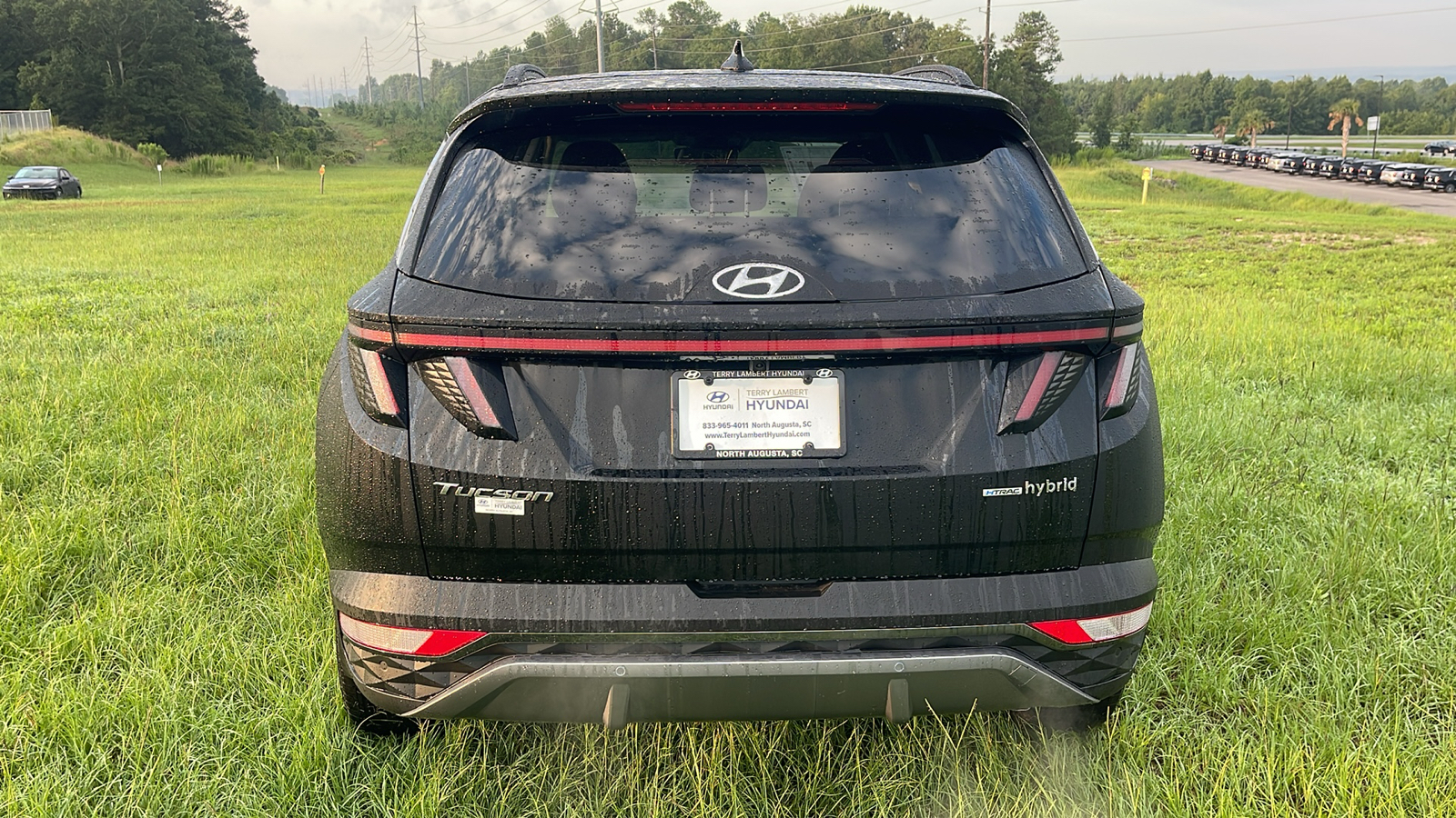 2024 Hyundai Tucson Hybrid Limited 6