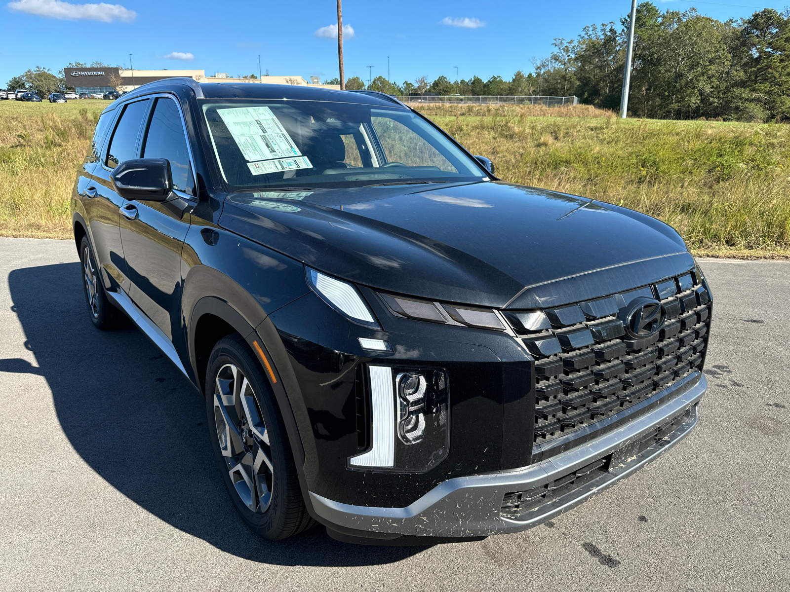 2024 Hyundai Palisade SEL 1