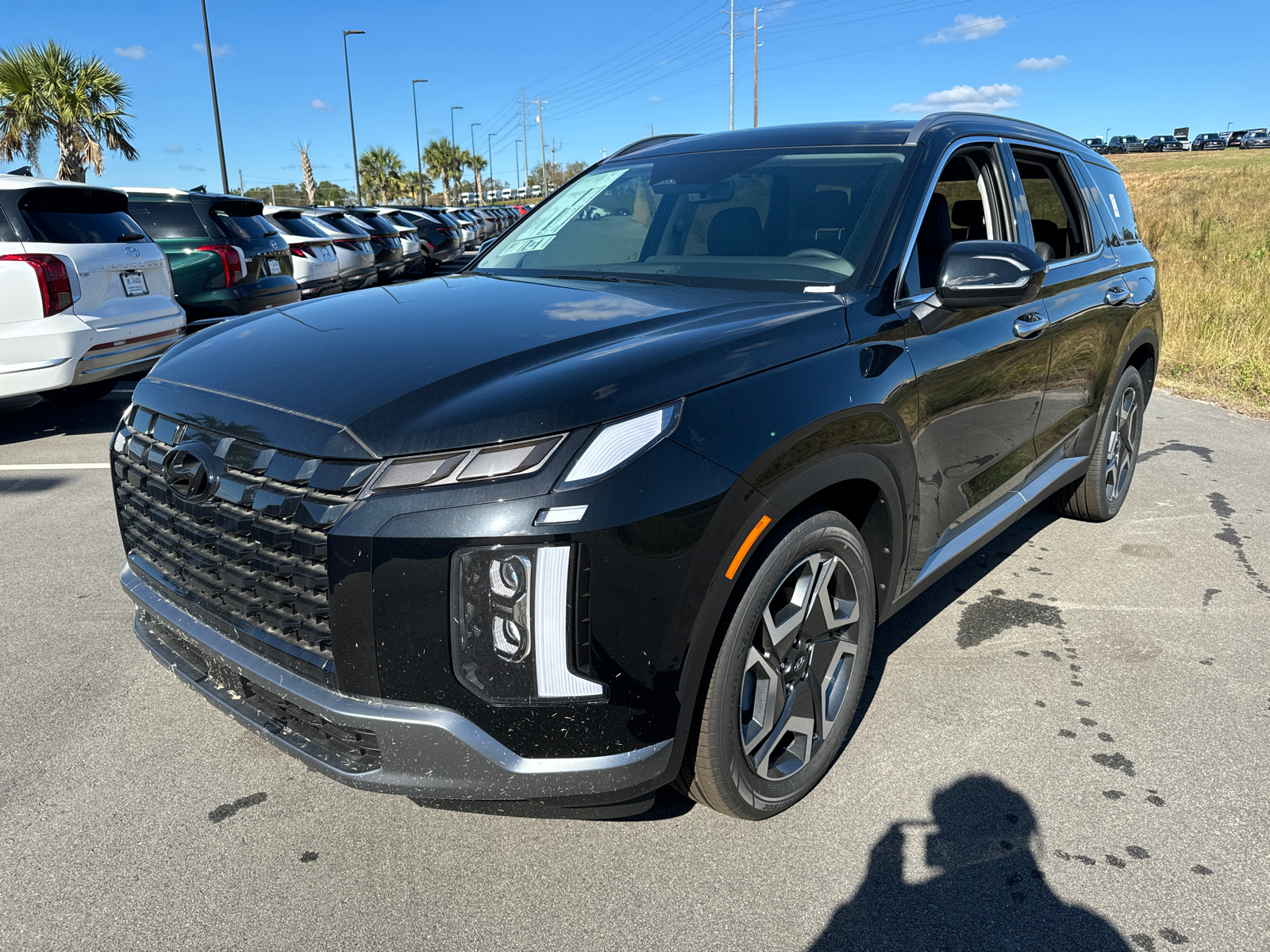 2024 Hyundai Palisade SEL 3