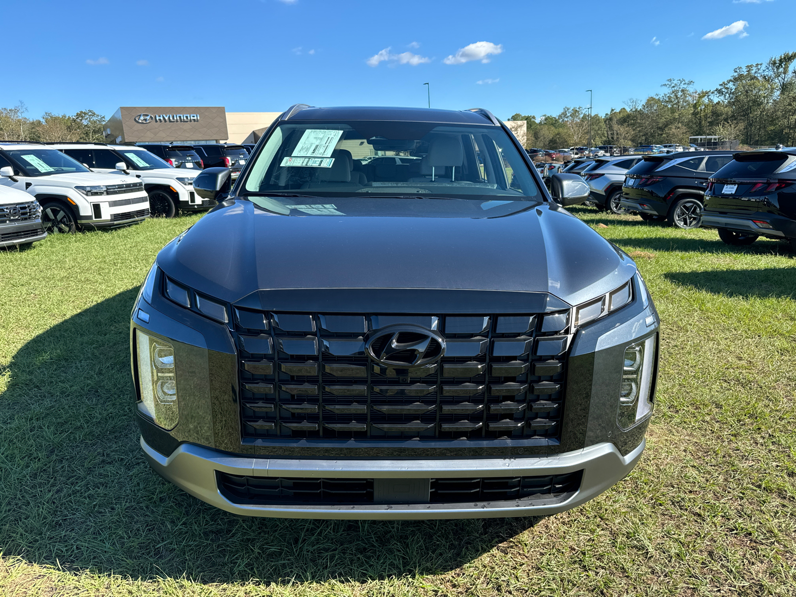 2025 Hyundai Palisade SEL Premium 2