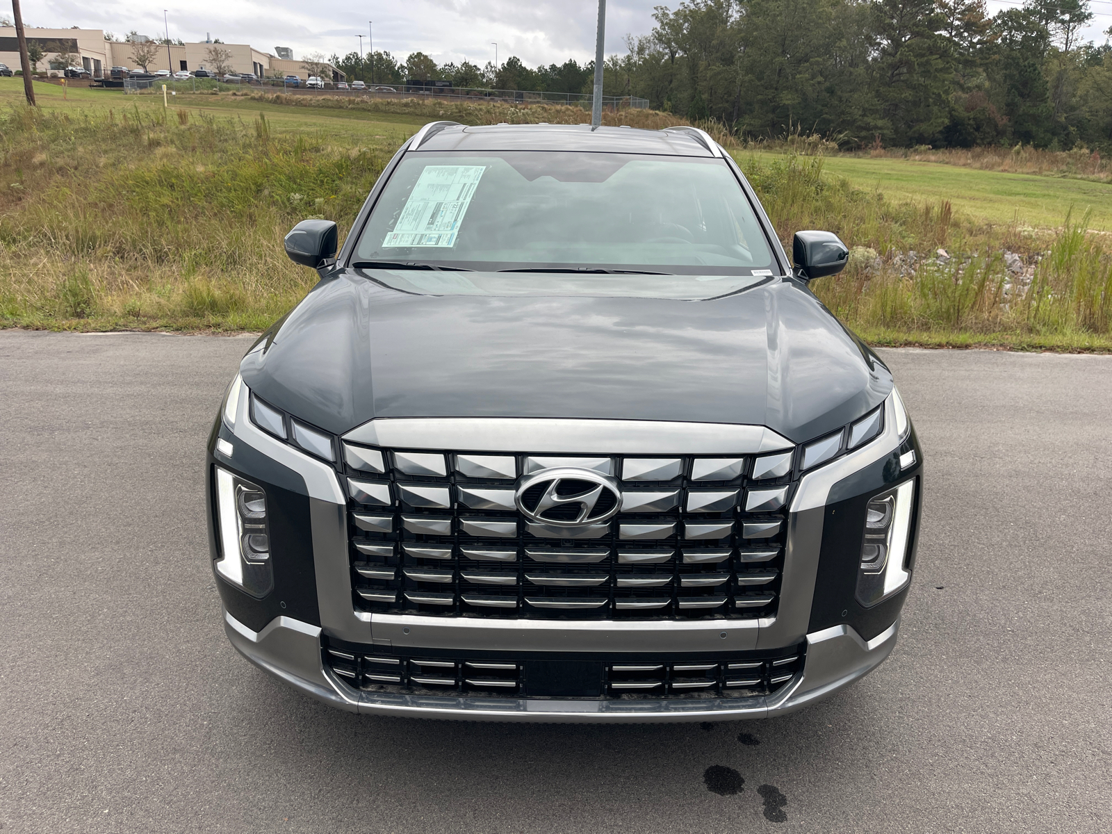 2025 Hyundai Palisade Calligraphy 2