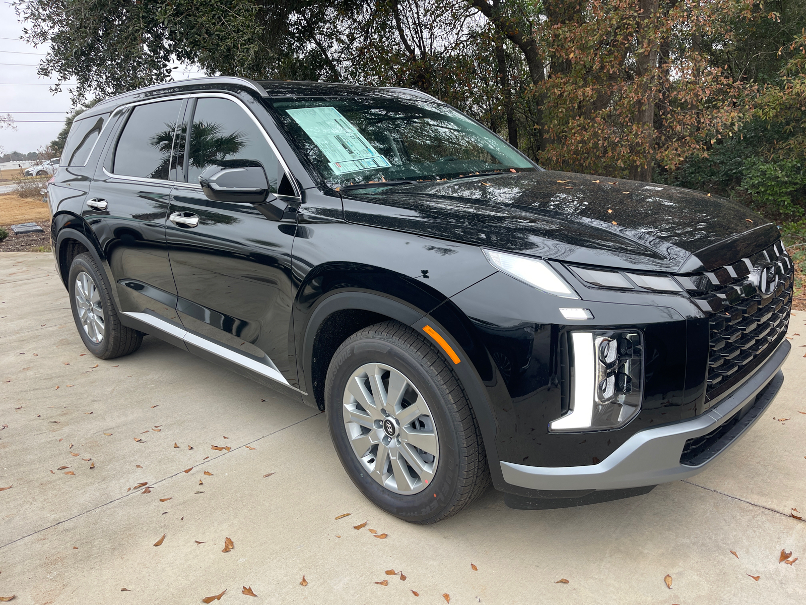 2025 Hyundai Palisade SEL 1