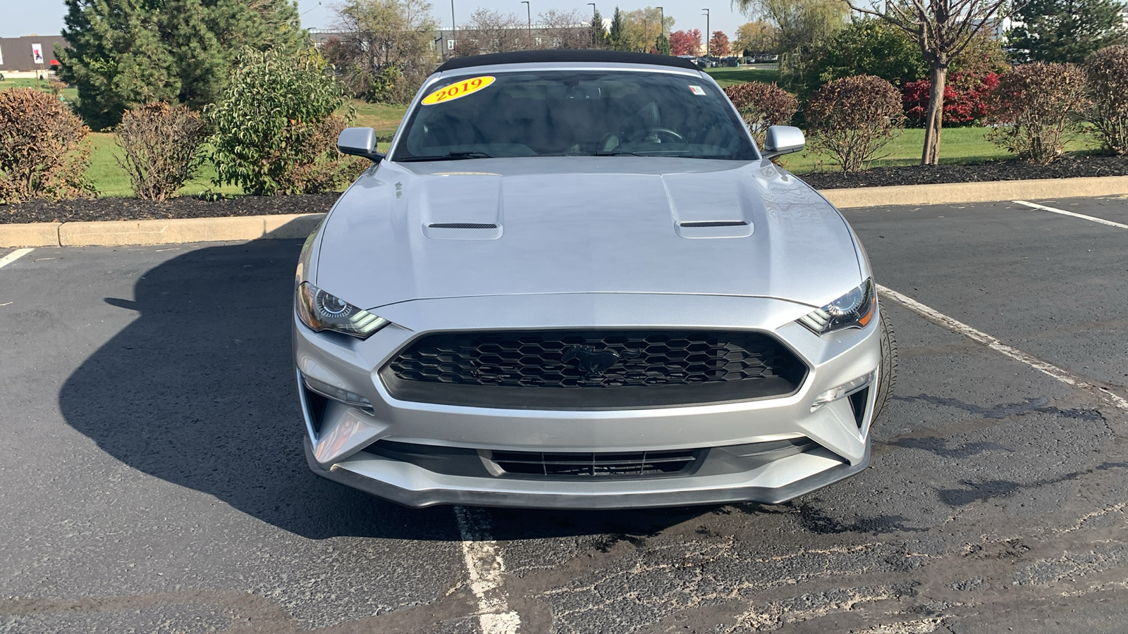 2019 Ford Mustang EcoBoost 2