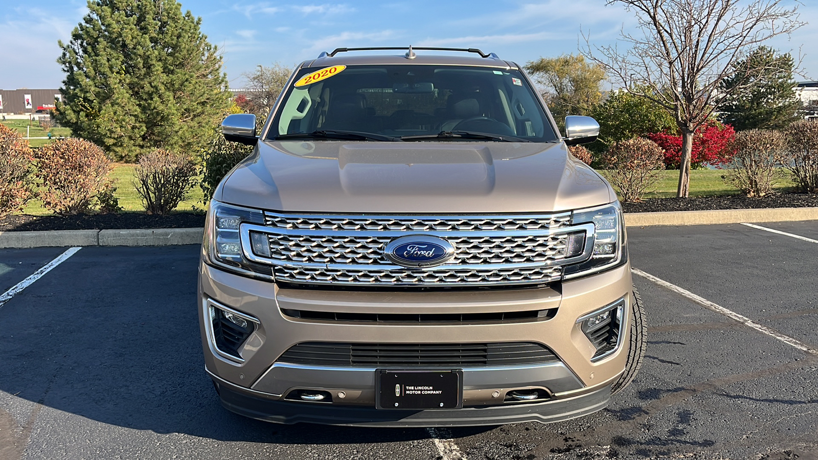 2020 Ford Expedition Platinum 2