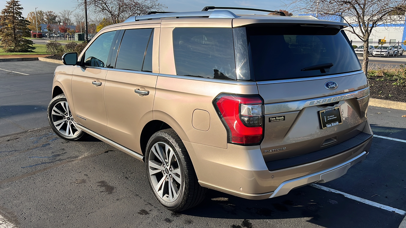 2020 Ford Expedition Platinum 4