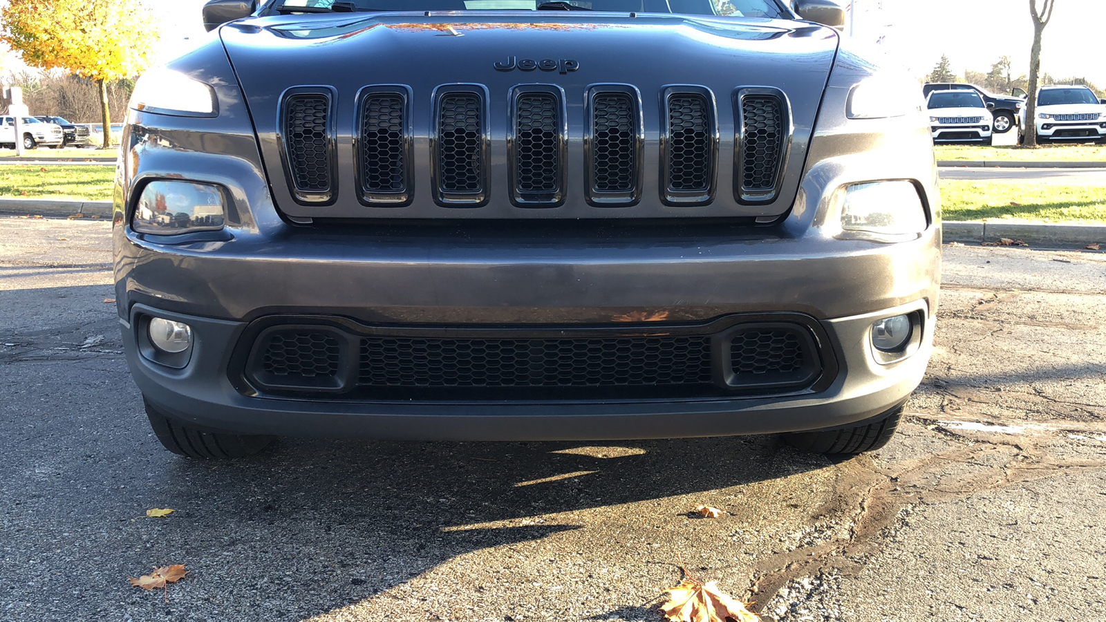 2016 Jeep Cherokee Altitude 11