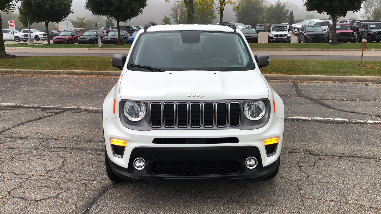 2020 Jeep Renegade Limited 9