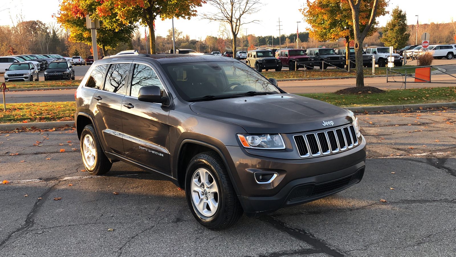 2014 Jeep Grand Cherokee Laredo 8