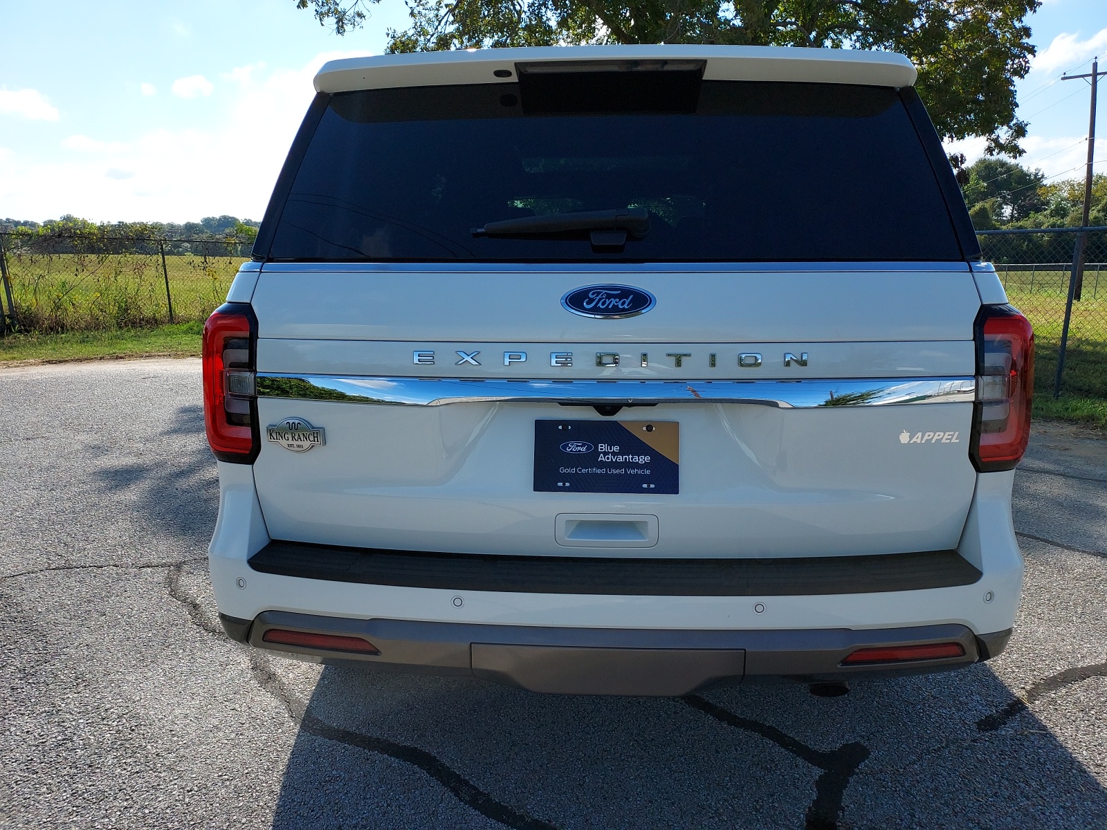 2023 Ford Expedition King Ranch 4