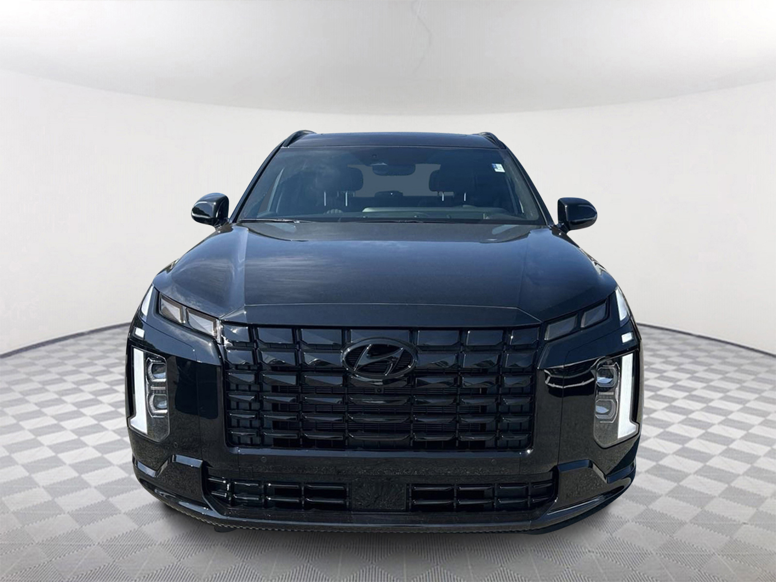 2025 Hyundai Palisade Calligraphy Night Edition 2