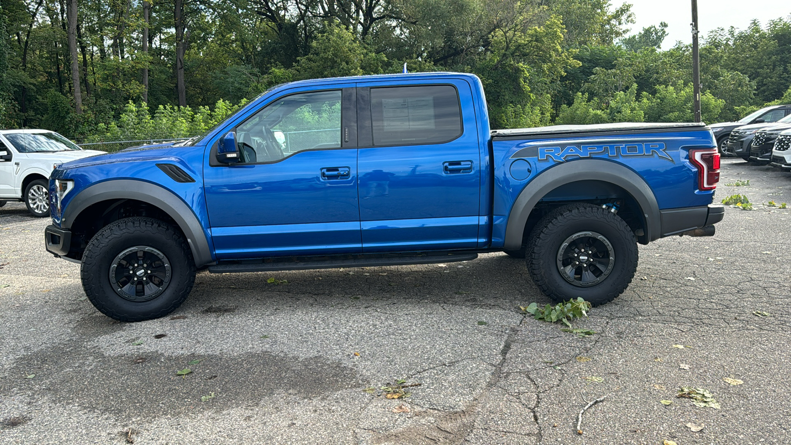 2018 Ford F-150 Raptor 6