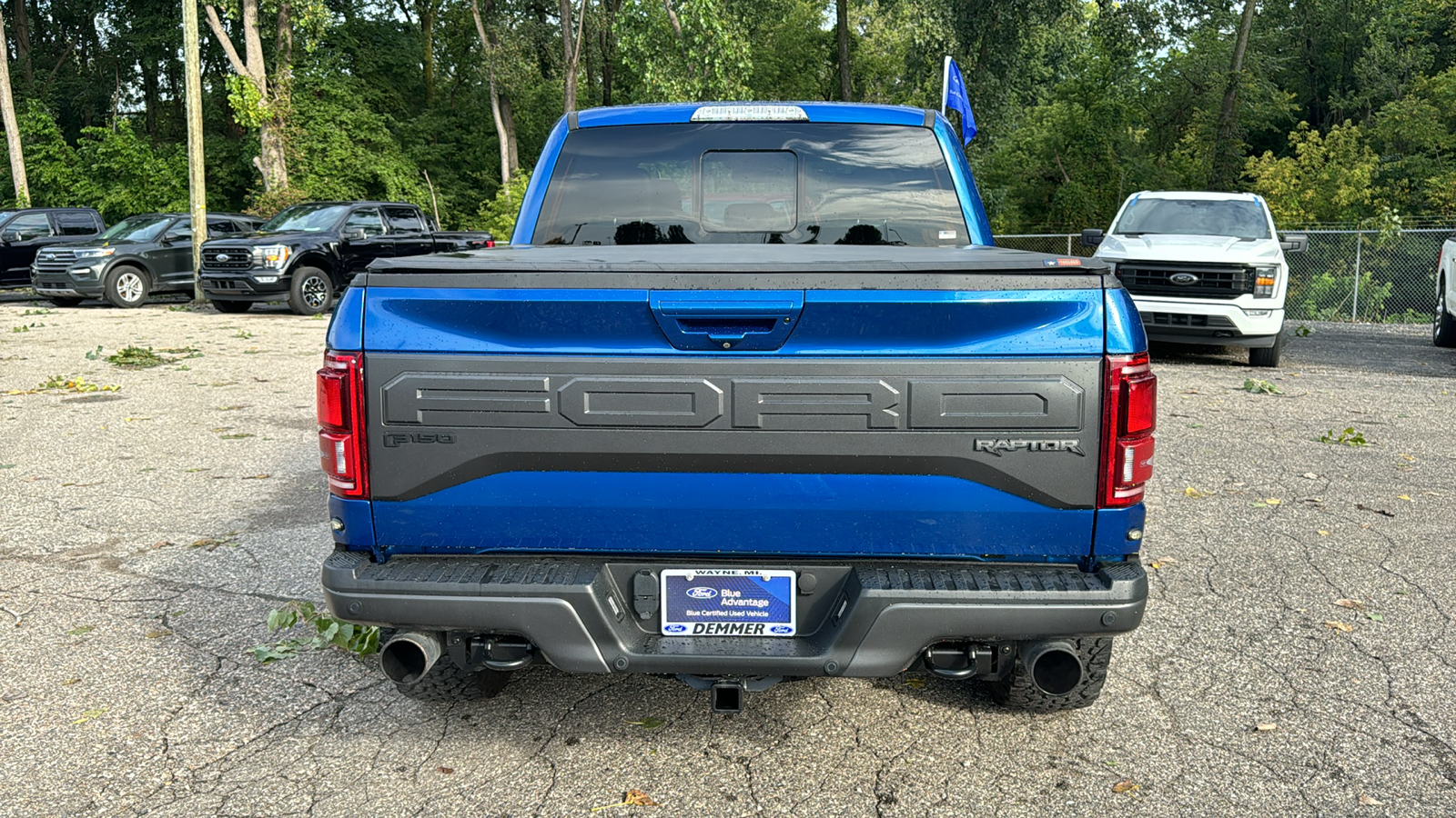 2018 Ford F-150 Raptor 28