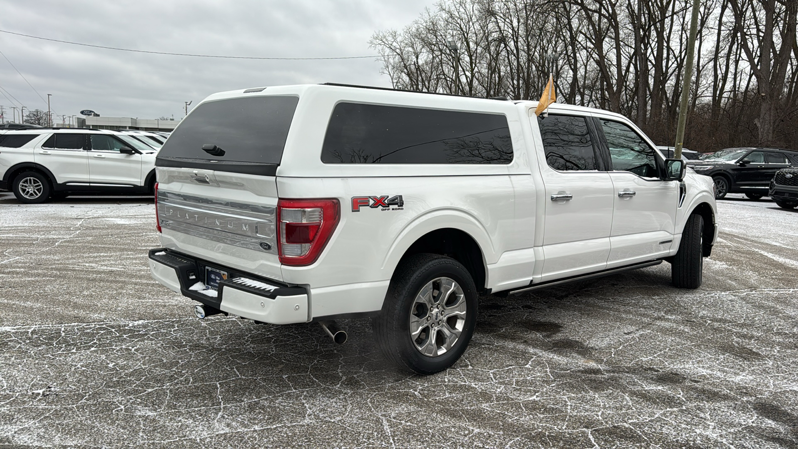 2022 Ford F-150 Platinum 4