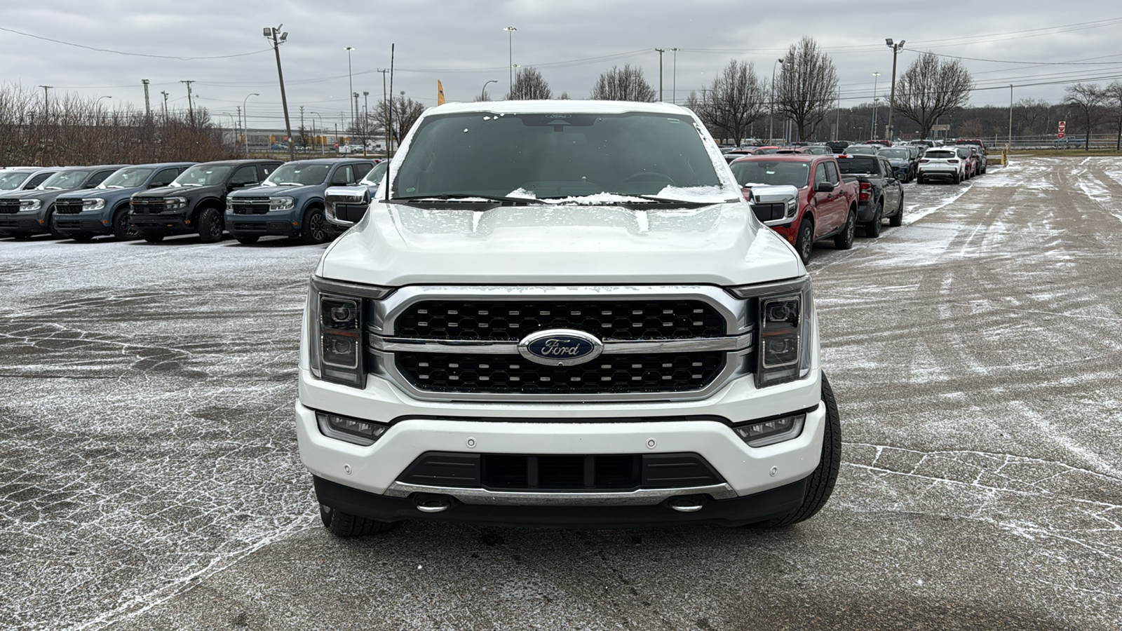 2022 Ford F-150 Platinum 28