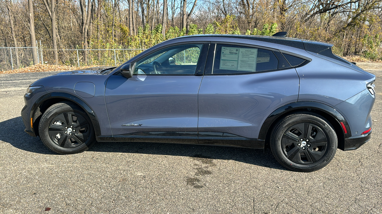 2021 Ford Mustang Mach-E California Route 1 6