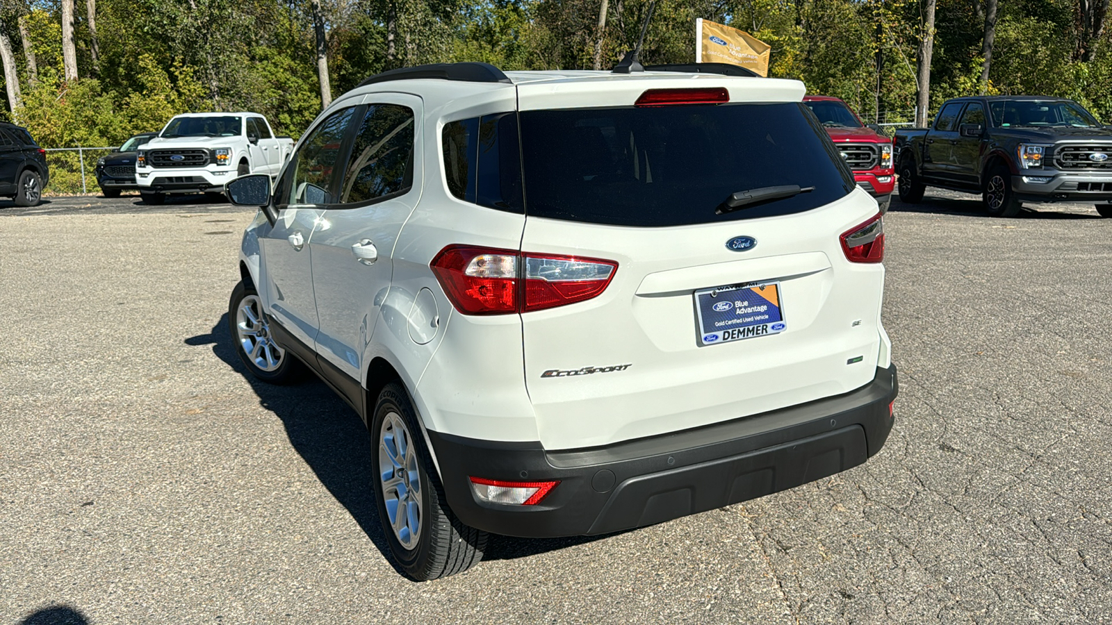 2019 Ford EcoSport SE 5