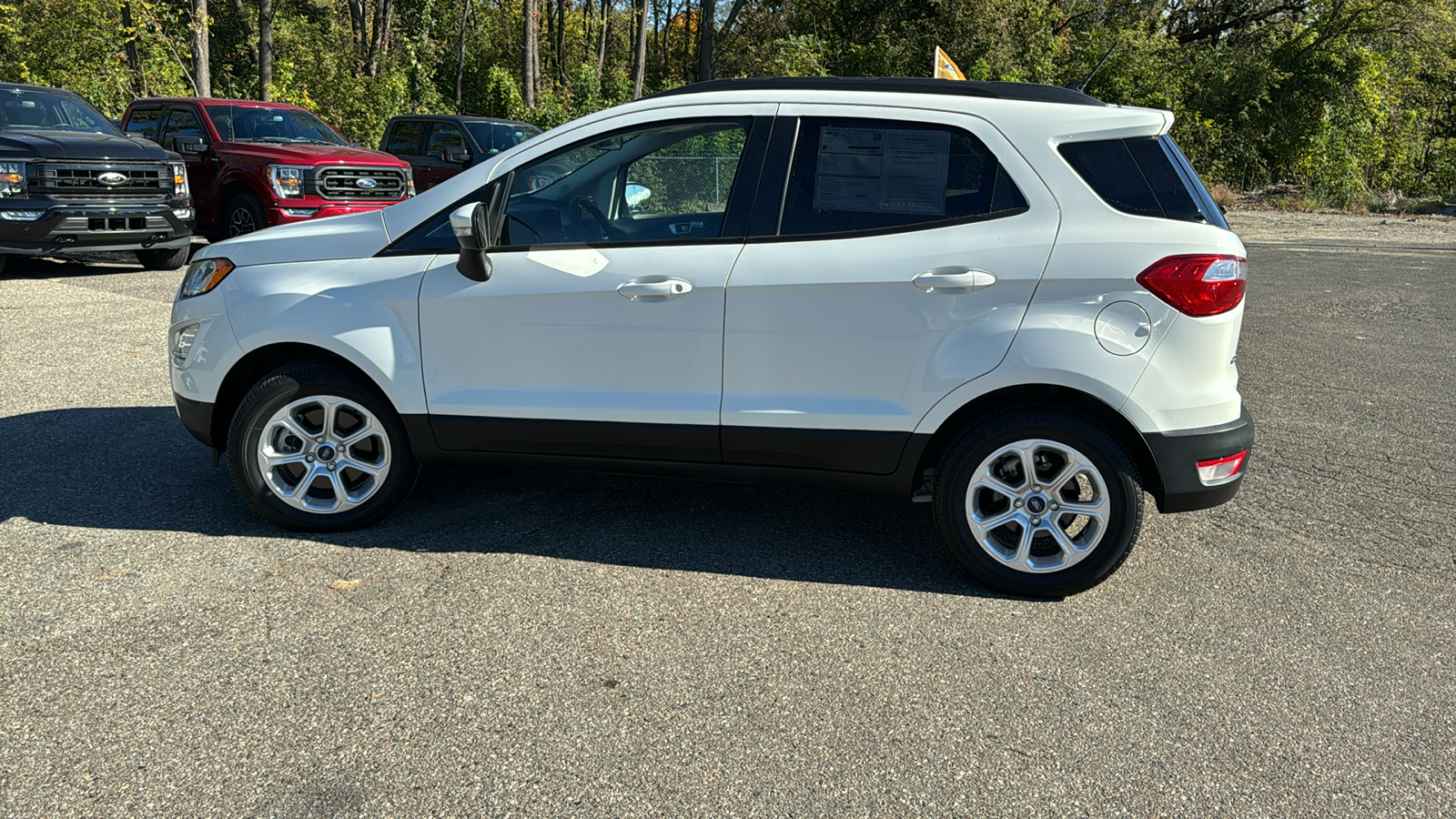 2019 Ford EcoSport SE 6